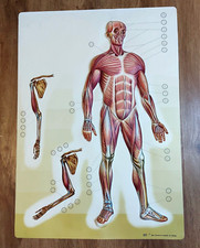 Poster in plastica goffrata