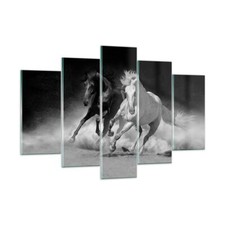 Quadro su Vetro 150x100cm