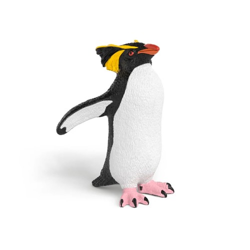 Pinguino saltarocce miniatura - saltarocce,