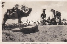 LIBYA: Camellier Caravan