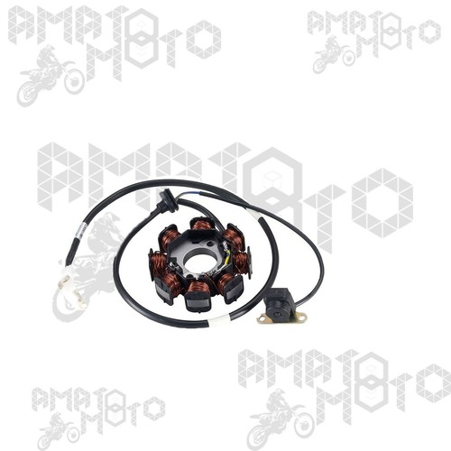 Statore magnete volano - statore,