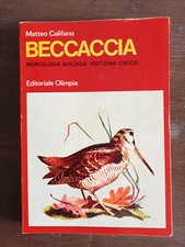 Matteo Califano- Beccaccia Olimpia 1971 Caccia Morfologia abitudini biologia