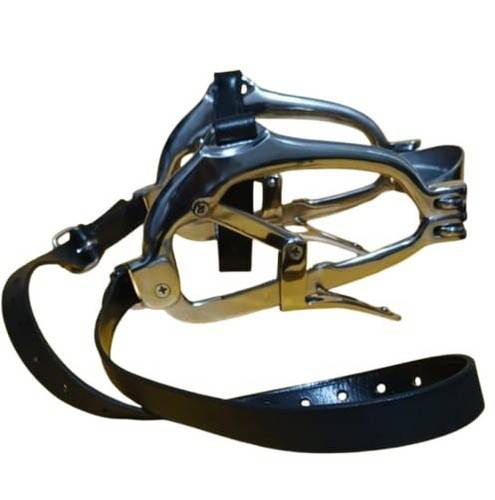 Speculum dentale equino