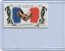 2010 ALLEN & GINTER NATIONAL