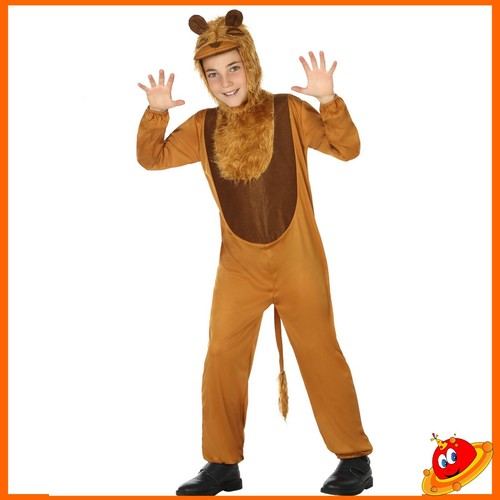 Costume carnevale ragazza - costume,