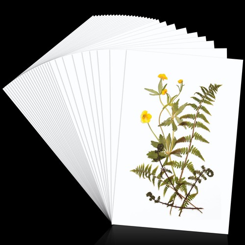 Pezzi carta blotting - carta, per