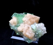 35,5 gNatural Green Phantom