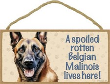 Un Malinois belga marcio viziato vive qui! Cartello simpatico cane 5"x10" targa E83