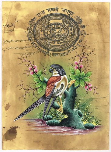 Pittura uccelli in - pittura, di