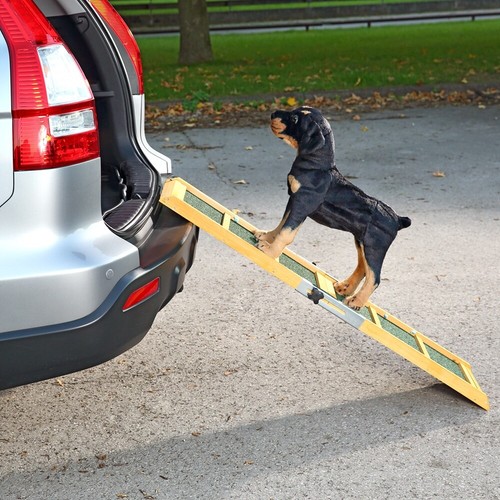 Rampa per cani ausilio - ,