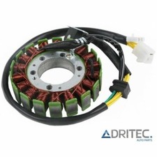 ✅ ALTERNATORE statore Yamaha YP 250 Majesty 250 (1996-2000)