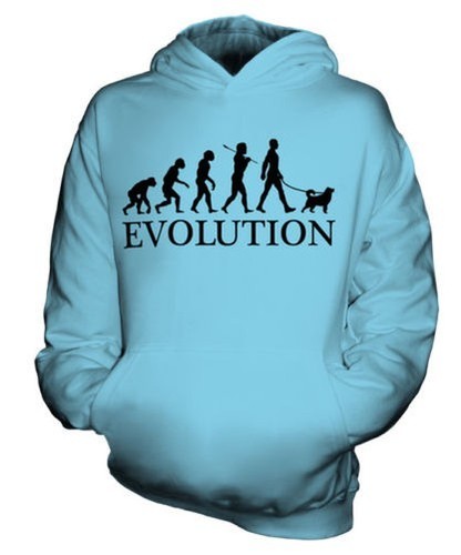 Shiba inu evolution uomo - shiba, of