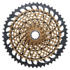 Pacco Pignoni Sram XX1 Eagle