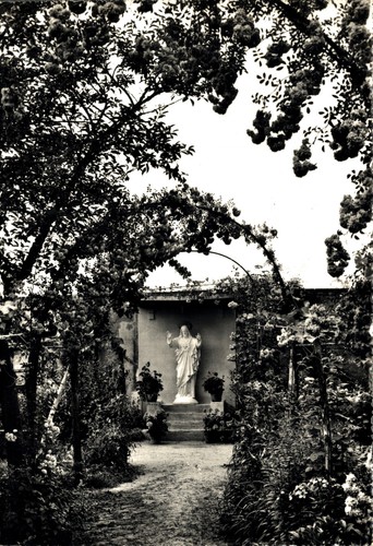 Vische torino istituto del - istituto,