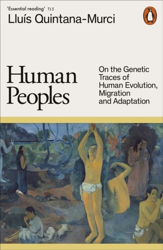 Human peoples lluis - human,