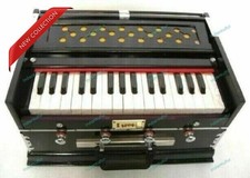 Strumento musicale indiano