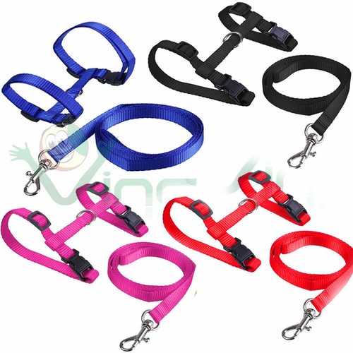 Guinzaglio pettorina nylon - guinzaglio+pettorina,
