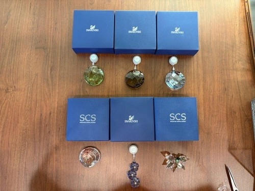 Swarovski scs annual renewal - swarovski,