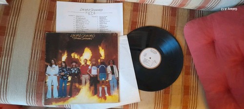 Lynyrd skynyrd street - lynyrd,