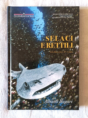 Selaci rettili albano - rettili,