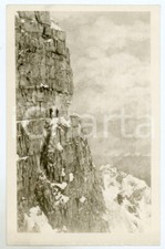 1915 ca WW1 - GUERRA D'ITALIA