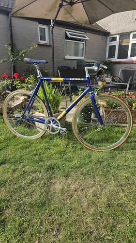 Bicicletta battaglin - bicicletta,