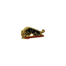 PINS  POLIZIA DI STATO DA