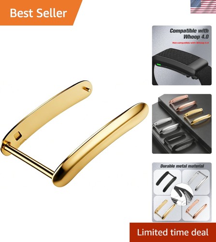 Elegant stainless steel whoop - stainless,