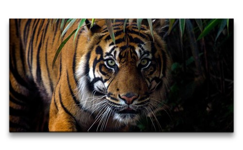 Quadro tela 120x60 tigre - tela,
