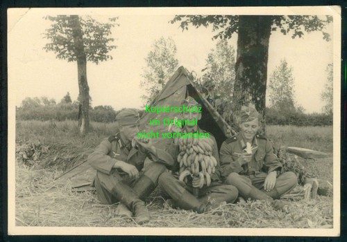 Orig foto francia campagna - orig.,