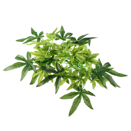 Decorazione del paesaggio - ,