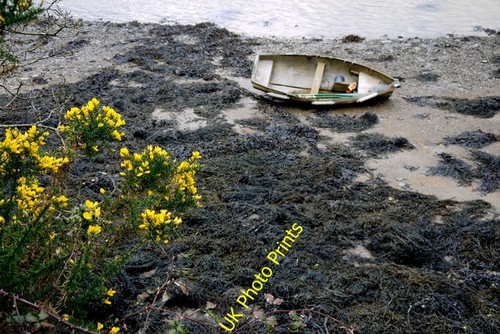 Photo 6x4 dinghy king - dinghy, at