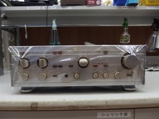 Amplificatore integrato JUNK