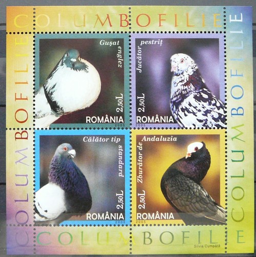 Foglio ricordo romania - foglio,