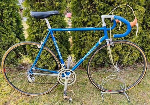 Bicicletta squadra pinarello - squadra,