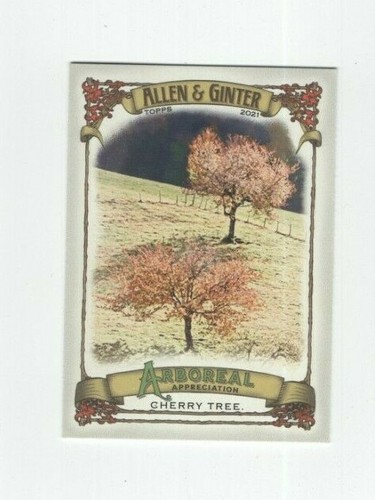 2021 topps allen ginter - &,