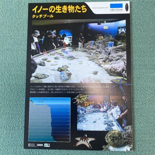 Brochure acquario okinawa - acquario,