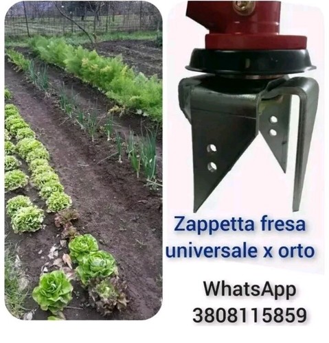 Test zappetta fresa - ,