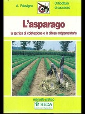 L'ASPARAGO FALAVIGNA A. REDA 1991 ORTICOLTURA DI SUCCESSO BROSSURA