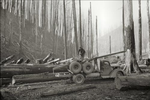 Foto tillamook county oregon - county,