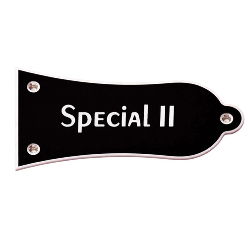 Special truss rod - ii,