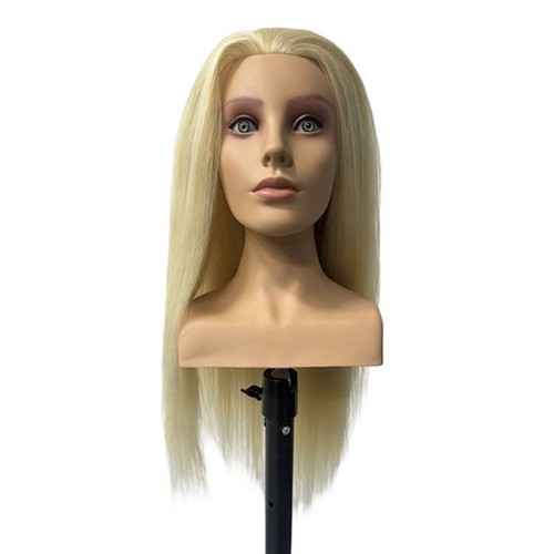 Testa manichino con - testa,