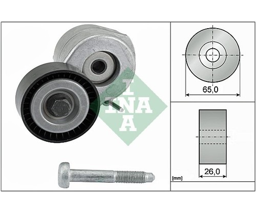 Tendicin cinghia esterna - tendicin,