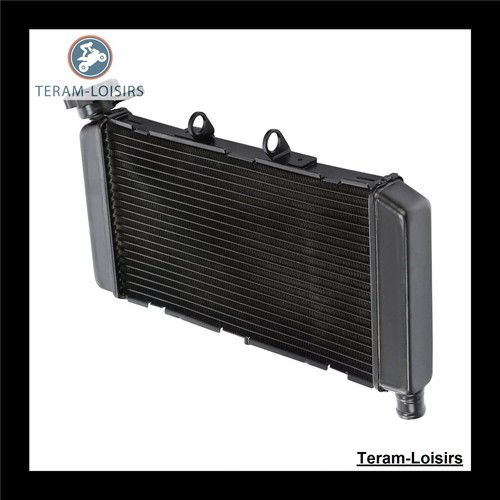 Radiatore nero teram loisirs - radiatore, teram-loisirs