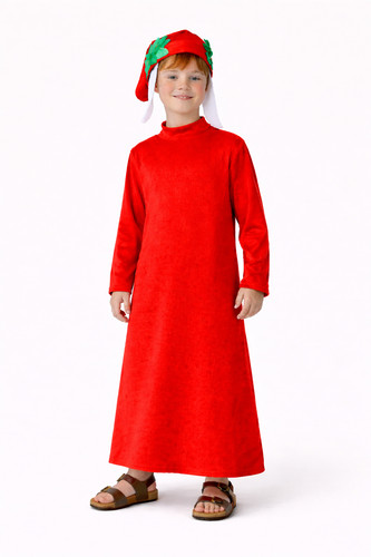 Costume travestimento dante - travestimento,