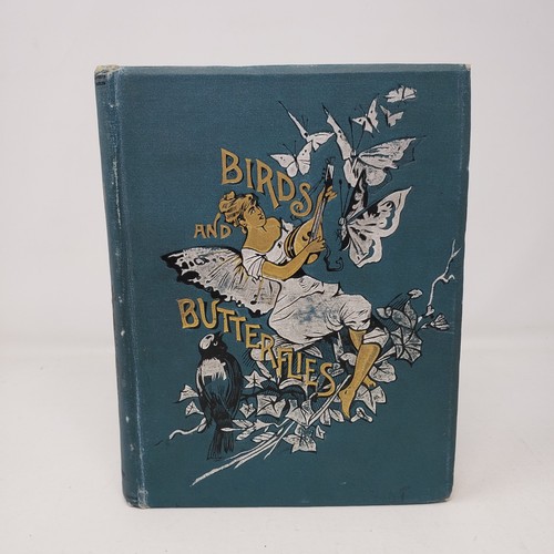 Birds and butterflies g - birds,