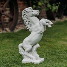 Cavallo stallone cavalla