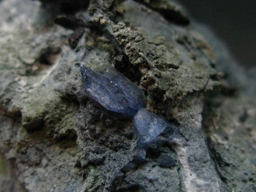 Benitoite nettunite su - e,
