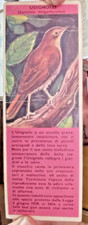 SEGNALIBRO USIGNOLO ENTE PROTEZIONE DEGLI ANIMALI ROMA SPOLETO ANNI '50-1425
