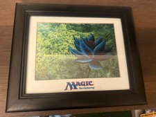 MTG (Magic the Gathering)